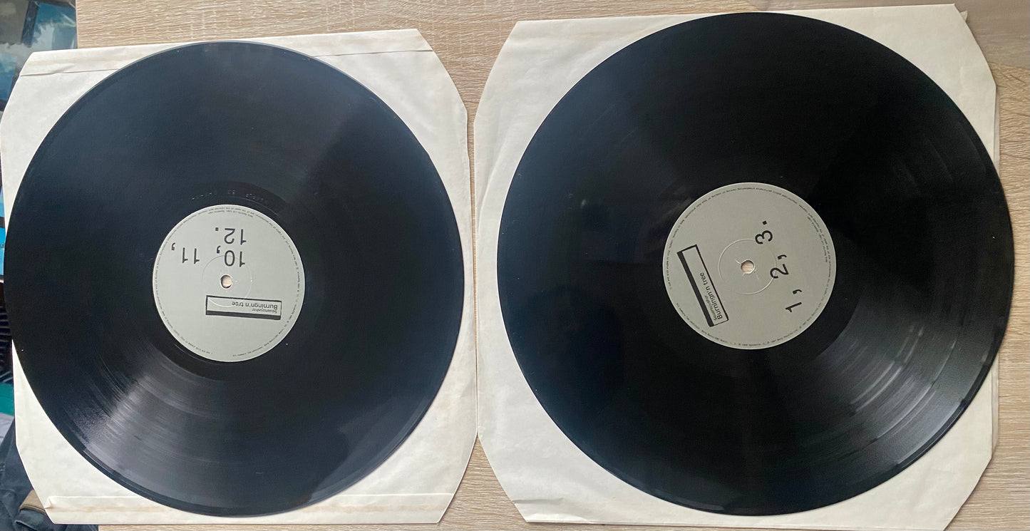 OG UK - Squarepusher - Burningn'n Tree (2xLP, Comp)