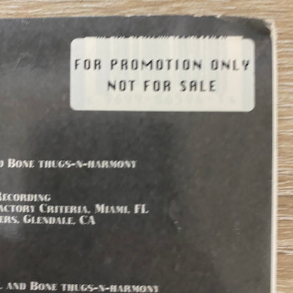 OG US Promo!-  Bone Thugs-N-Harmony - Thug World Order (2xLP, Album, Promo)