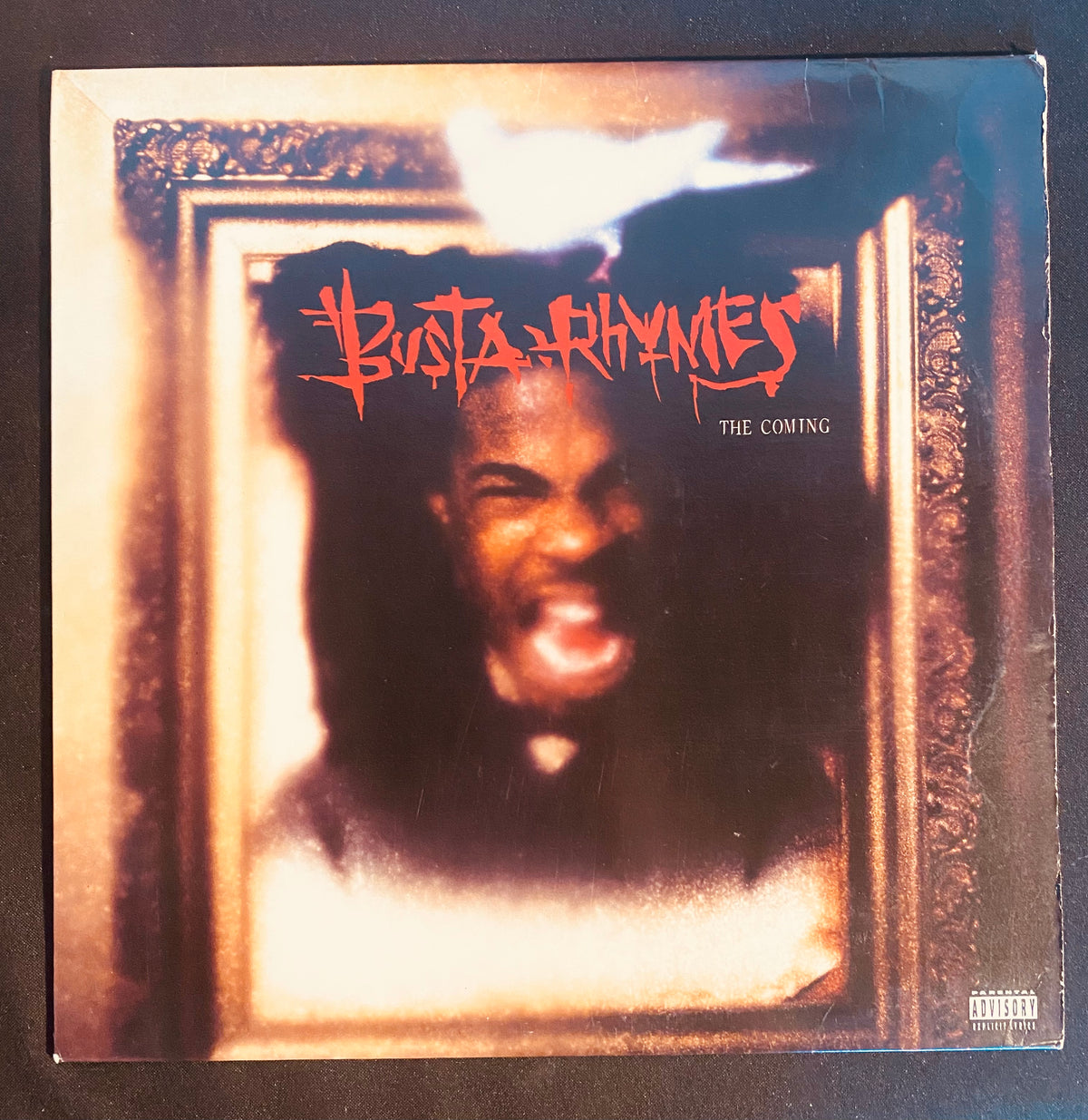 Busta Rhymes - The Coming (2xLP, Album