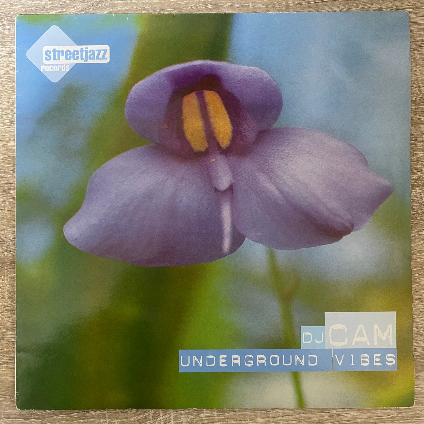 DJ Cam - Underground Vibes (LP, Album, RE)