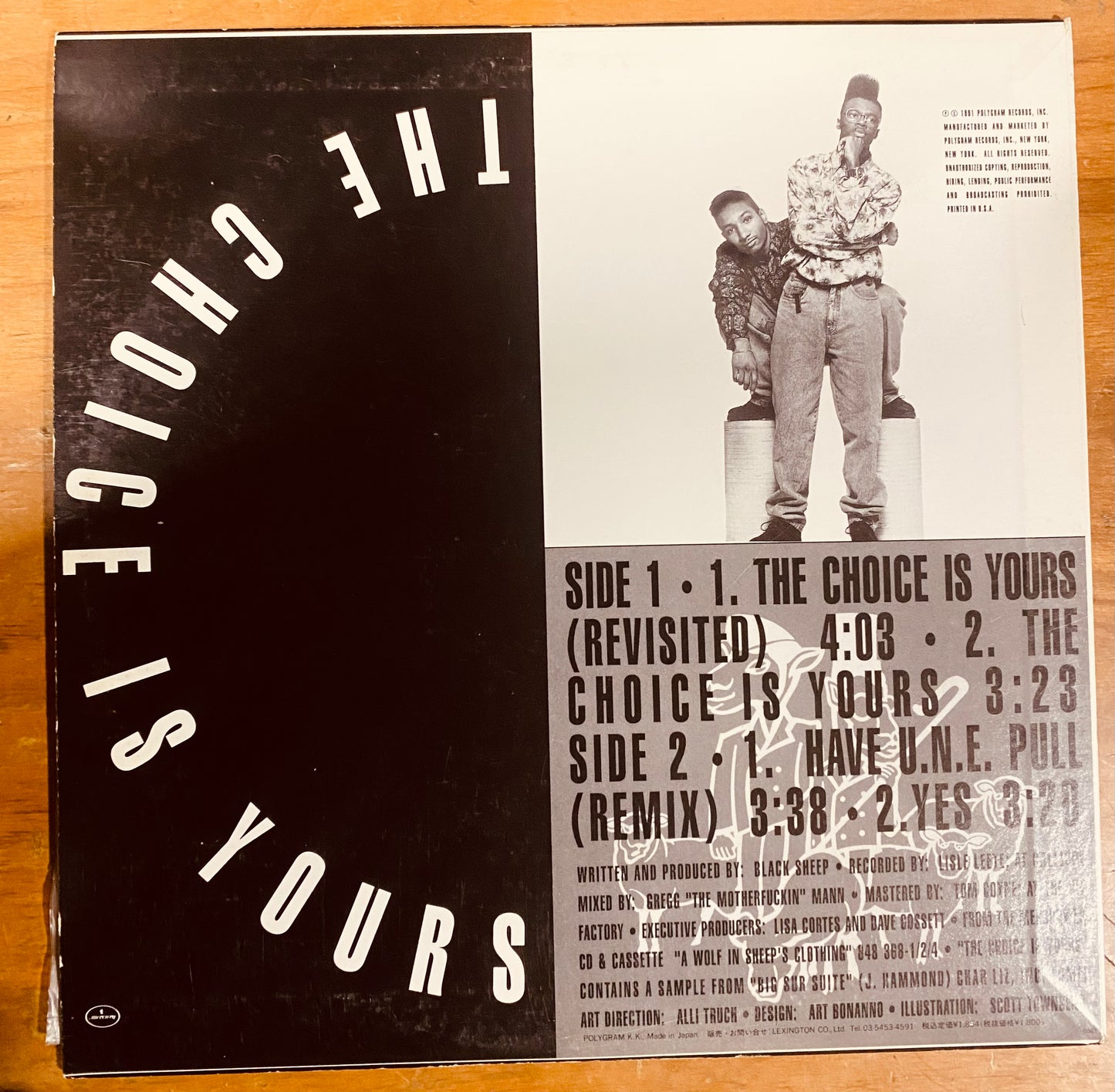 RE JAPON - Black Sheep - The Choice Is Yours (12", Single)