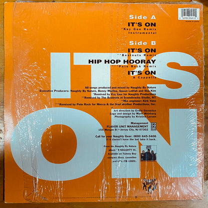 OG US - Naughty By Nature - It's On (12")