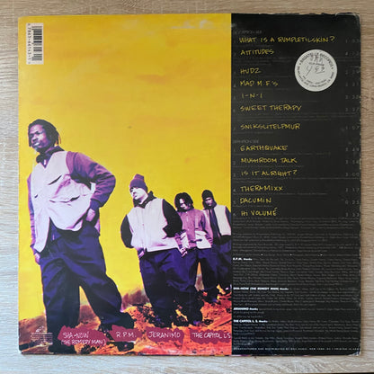 OG - Rumpletilskinz - What Is A Rumpletilskin? (LP, Album)