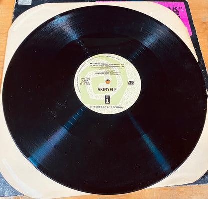 OG US PROMO- Akinyele - Ak Ha Ha! Ak Hoo Hoo? (12", Promo)