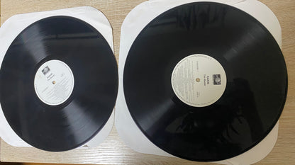 OG US - Rakim - The Master (2xLP, Album)