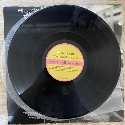 Terry Callier - What Color Is Love (LP, Album, RE)