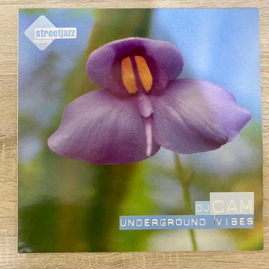 DJ Cam - Underground Vibes (LP, Album, RE)