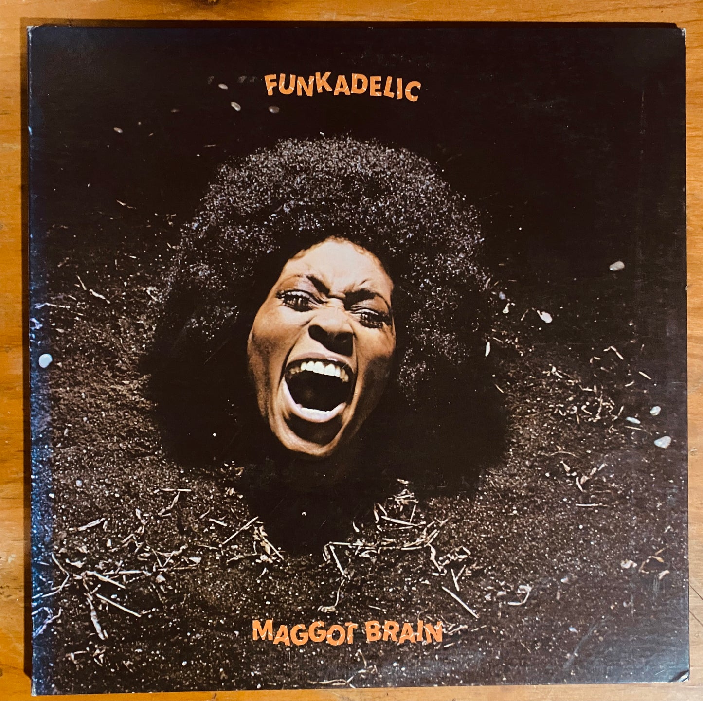 US PRESS - Funkadelic - Maggot Brain (LP, Album, RE, 180)CL