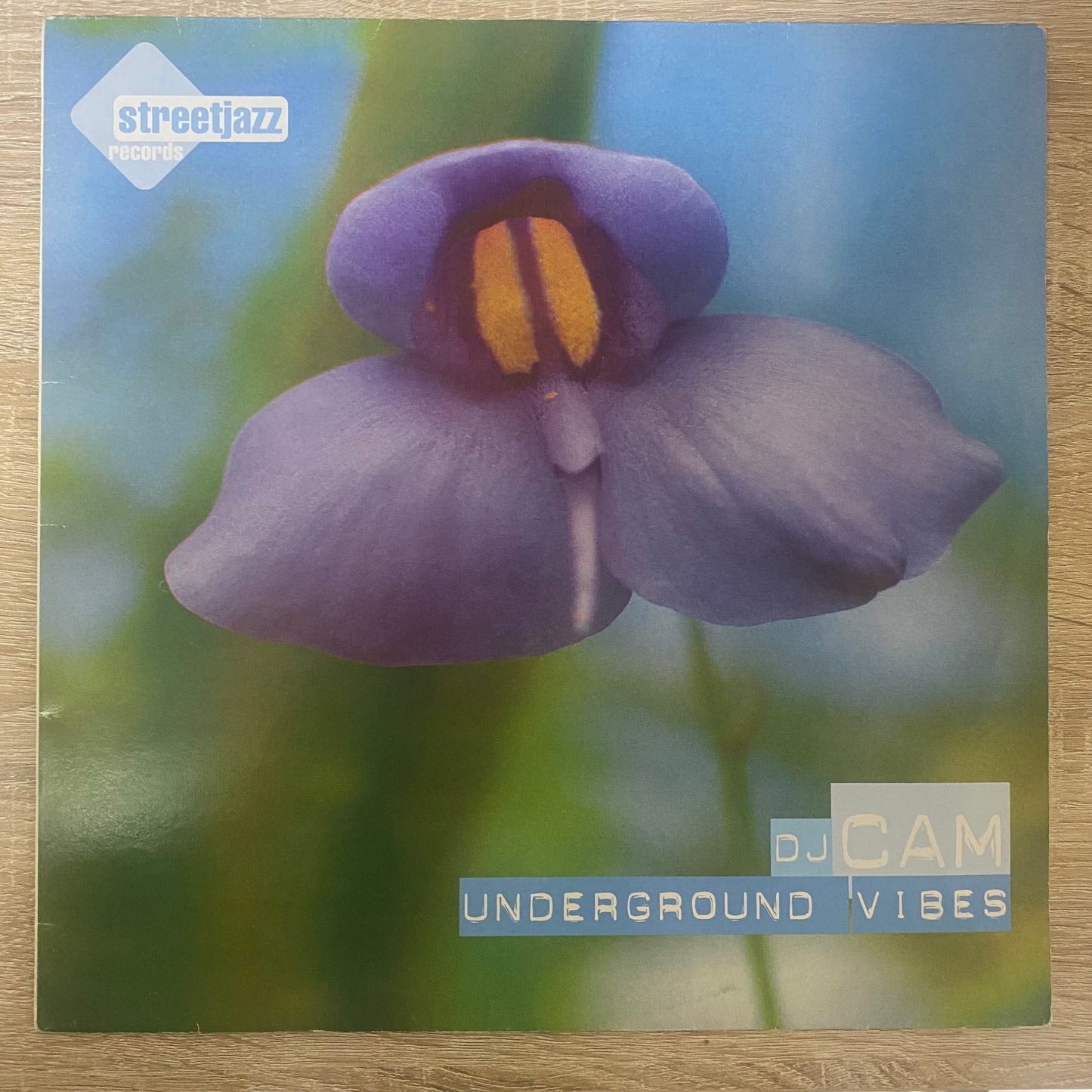 OG FR - DJ Cam - Underground Vibes (LP, Album)